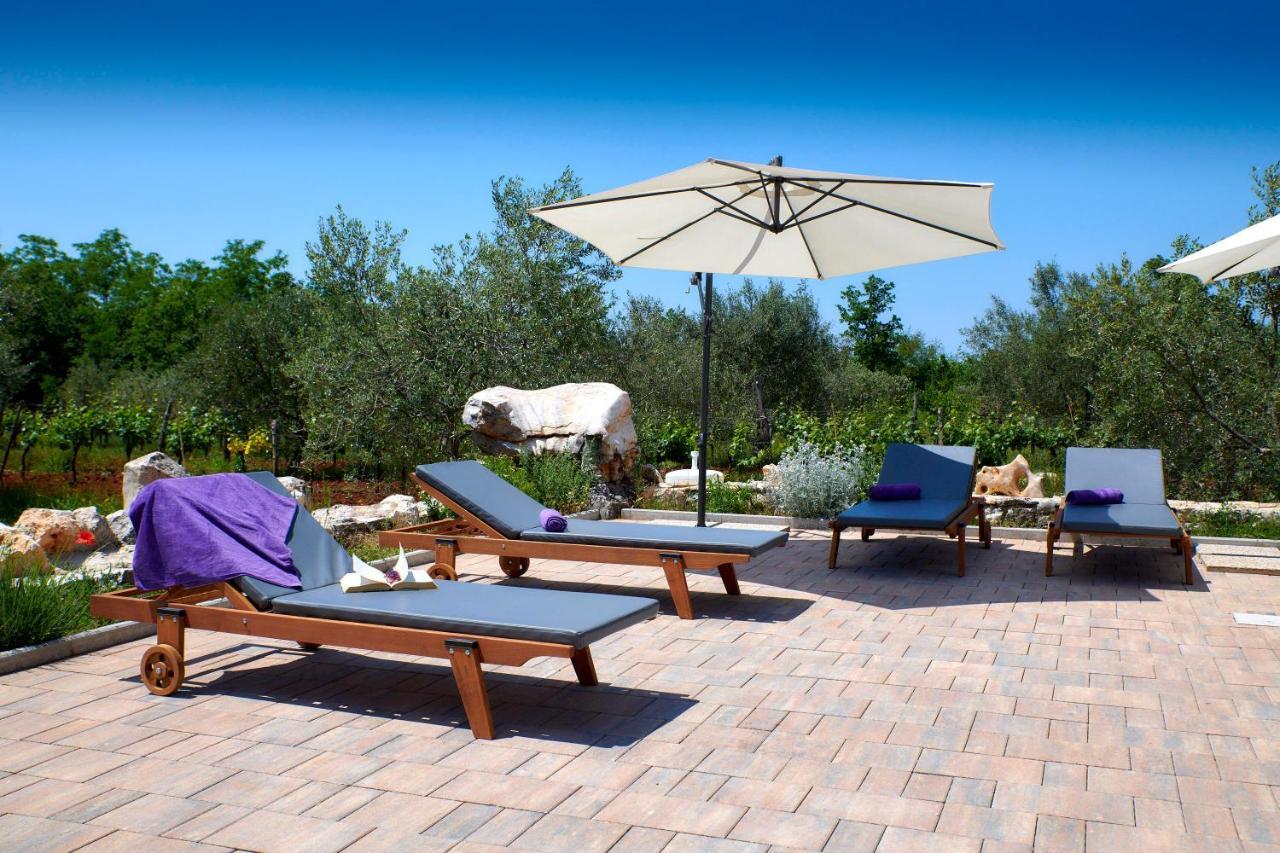 Relax House Surrounded By Olives And Vineyard Villa Stifanići Eksteriør bilde