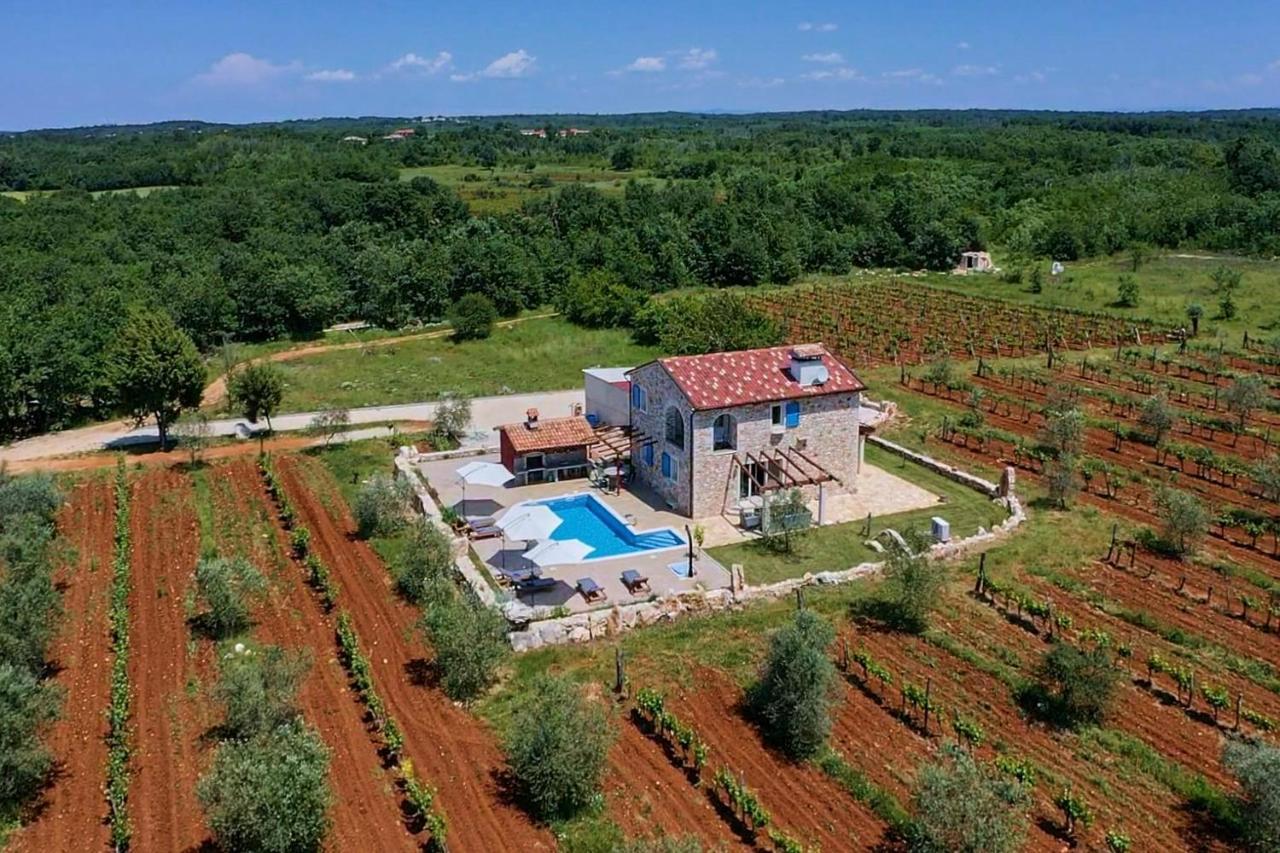 Relax House Surrounded By Olives And Vineyard Villa Stifanići Eksteriør bilde