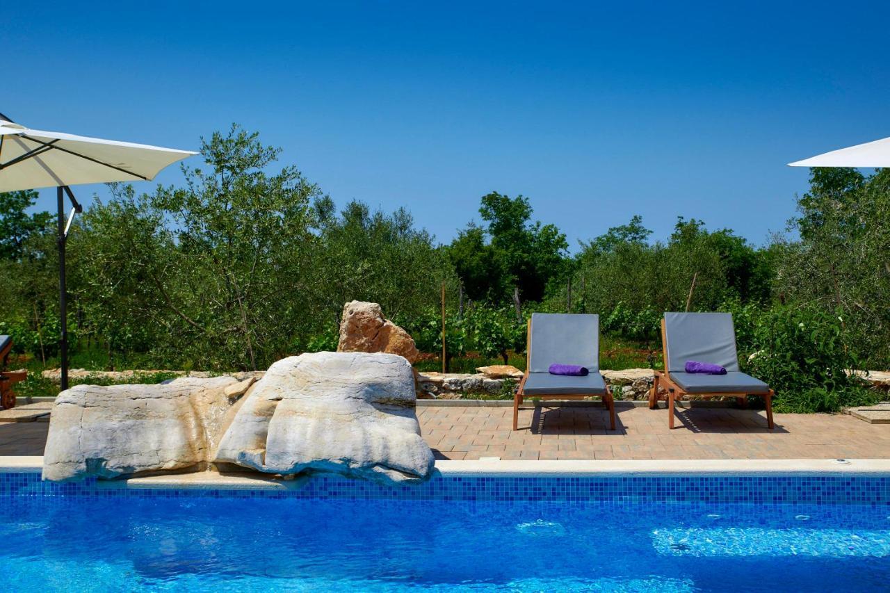 Relax House Surrounded By Olives And Vineyard Villa Stifanići Eksteriør bilde