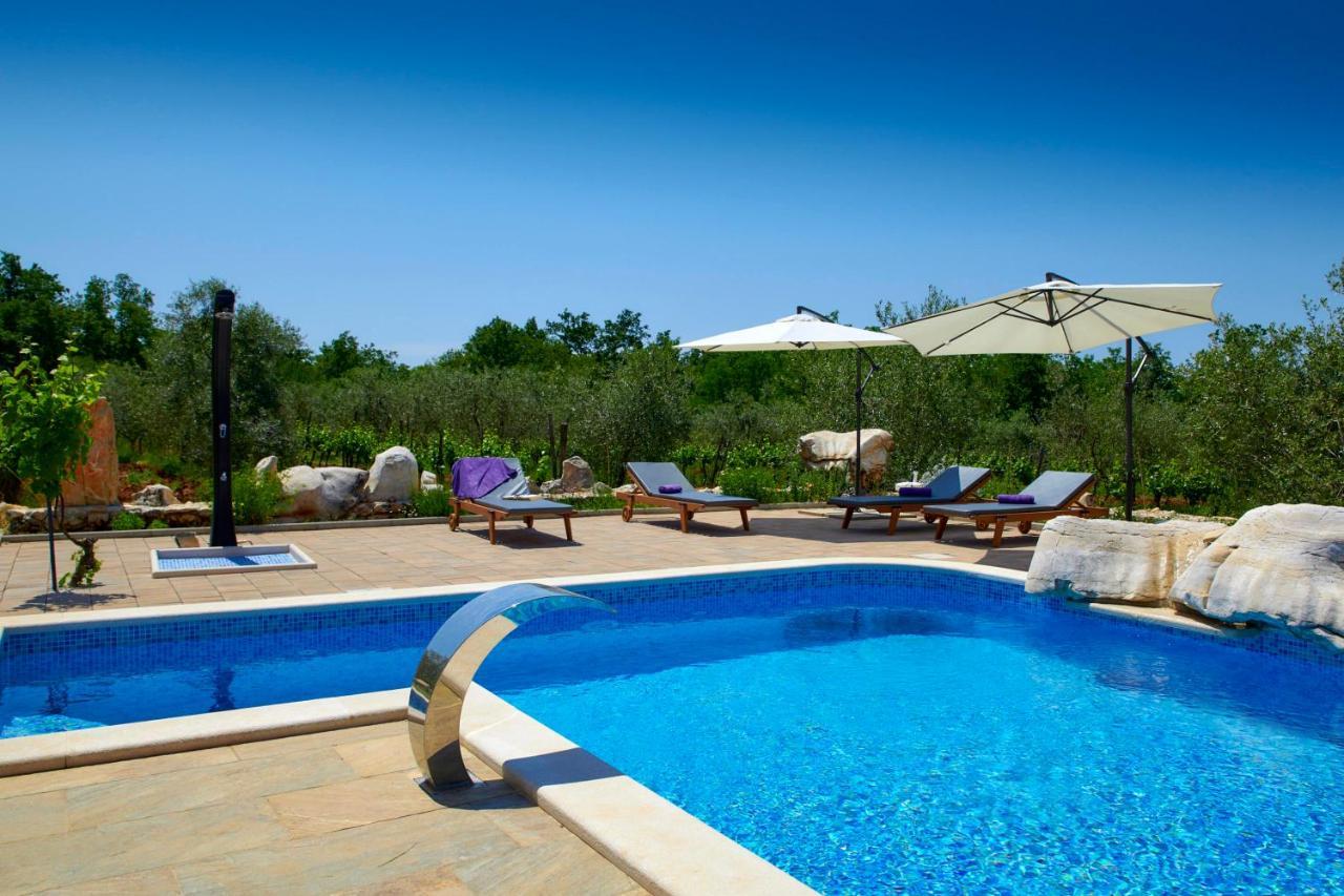 Relax House Surrounded By Olives And Vineyard Villa Stifanići Eksteriør bilde