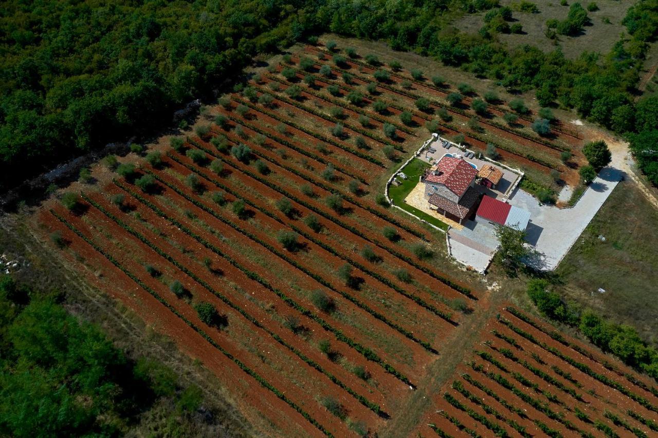 Relax House Surrounded By Olives And Vineyard Villa Stifanići Eksteriør bilde