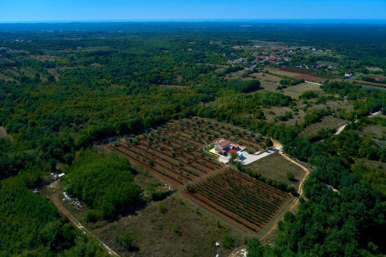 Relax House Surrounded By Olives And Vineyard Villa Stifanići Eksteriør bilde
